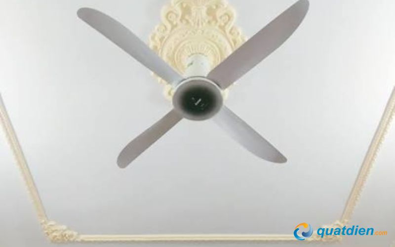 Sải cánh 140cm, tạo gió phủ rộng