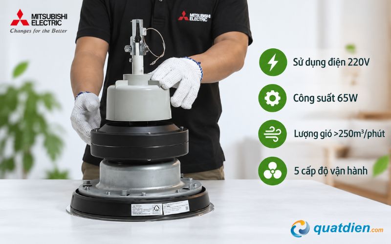 Động cơ bạc đạn 65W vận hành mạnh mẽ, ổn định