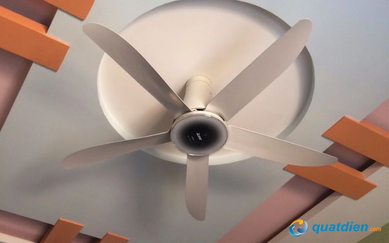 Làm mát rộng với thiết kế 5 cánh sải 140cm