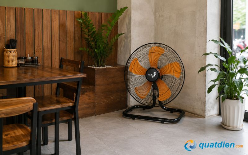 Quạt sàn BCN Asia VY586890 5 cánh giá tốt