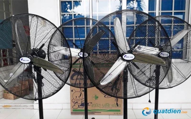 Chinghai HS24-ĐN3T phù hợp không gian rộng
