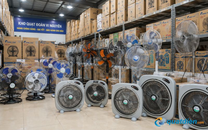Mua Quạt hộp đại Chinghai BF1699 84W tại QuatDien.com