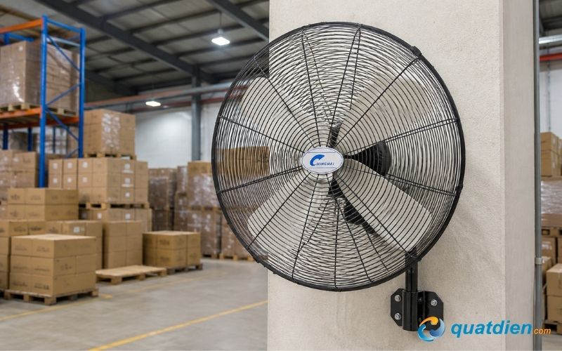Chinghai W24-4T treo tường giúp tiết kiệm diện tích