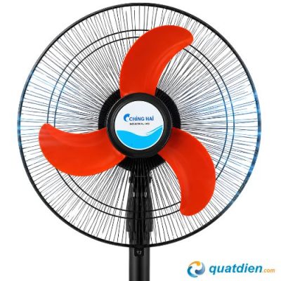 Sải cánh to giúp làn gió trải xa và rộng hơn