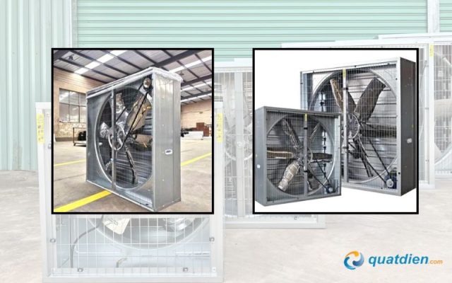 Quạt thông gió cỡ công nghiệp