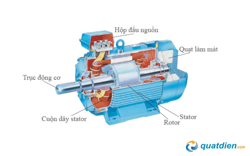 Cấu tạo và vai trò của motor quạt hút