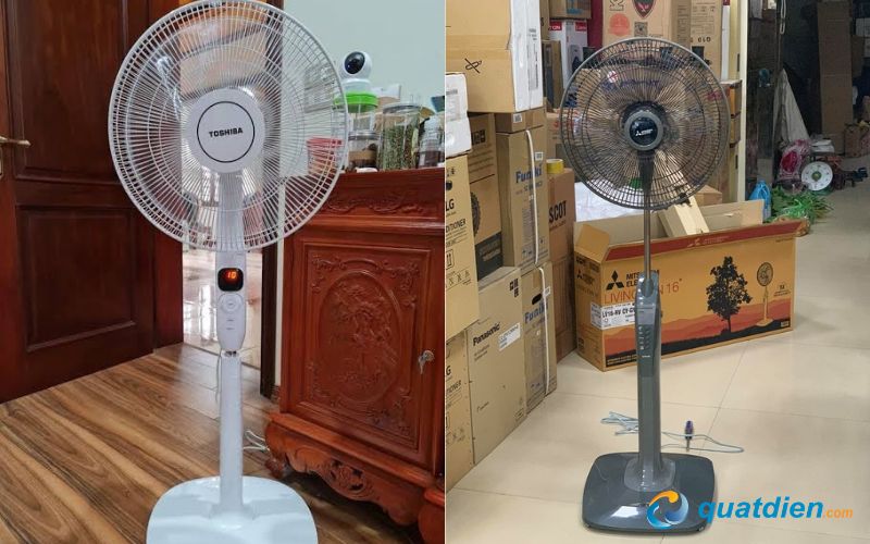 Quạt cây phù hợp sử dụng trong nhiều không gian sinh hoạt khác nhau