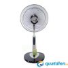 quat-lung-asia-a16012-1