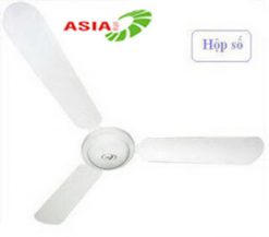 quat-tran-asia-1m4
