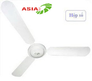 quat-tran-asia-1m4