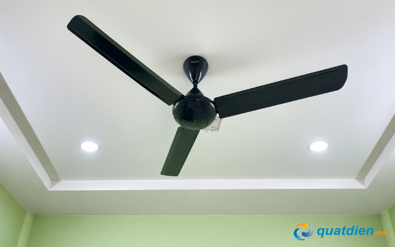 Màu đen hiện đại tạo điểm nhấn trang trí cho trần nhà