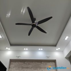 Quạt trần Panasonic F-60FEN 5 cánh