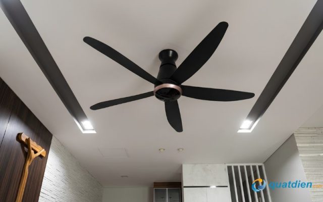 Sải cánh 150cm tạo luồng gió lan tỏa