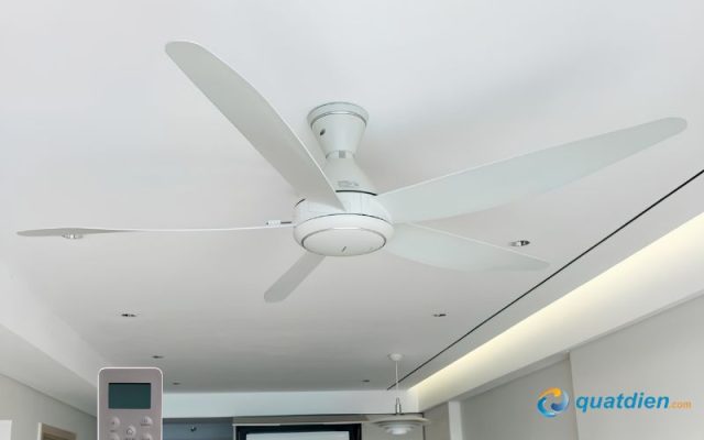 quat-tran-panasonic-f-60gdn-5-canh-10
