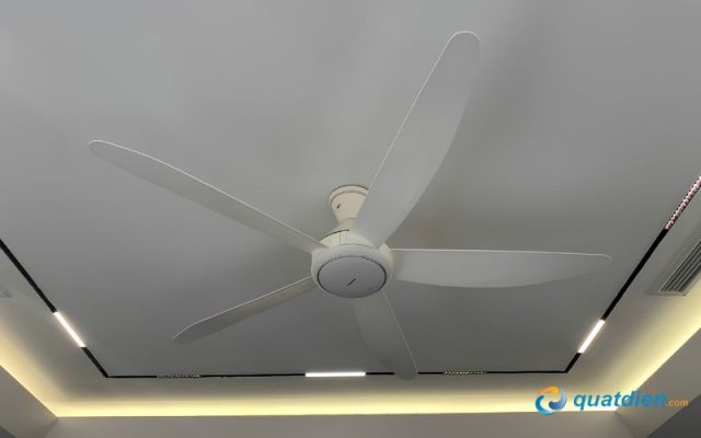 Quạt trần Panasonic F-60GDN 5 cánh