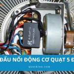 Hướng dẫn cách đấu nối động cơ quạt 5 đầu dây đơn giản