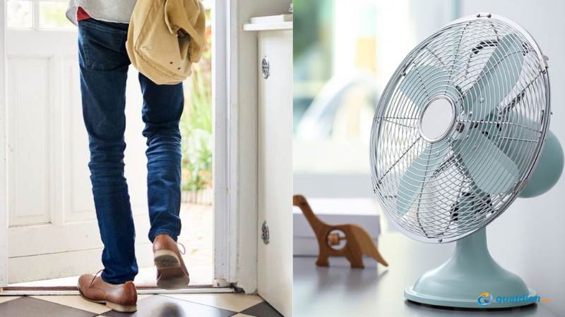 Quên tắt quạt gây lãng phí điện năng