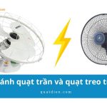 So sánh quạt trần và quạt treo tường chi tiết nhất