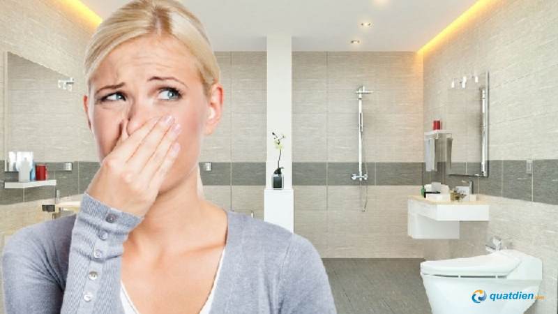 Chọn sai kích thước quạt khiến WC vẫn bí và có mùi