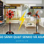So sánh quạt Senko và Asia: Loại nào bền, mát và đáng mua hơn