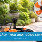 Cách tháo quạt đứng Senko đúng chiều vặn, dễ lắp lại tại nhà