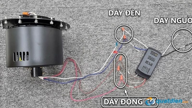 Đấu dây quạt trần có đèn vào nguồn điện