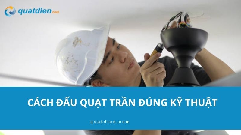 cách đấu quạt trần