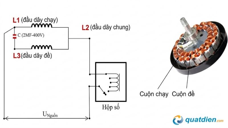 Sơ đồ nguyên lý hoạt động bên trong của quạt trần