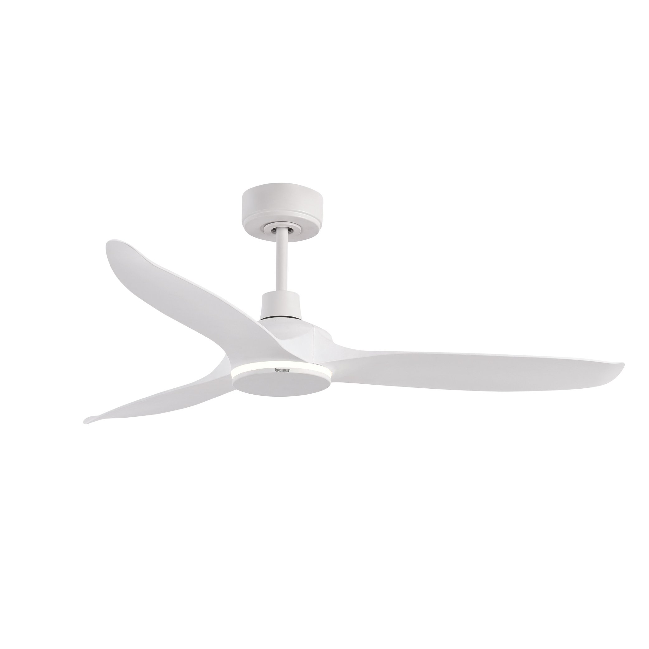 hình ảnh_2026-03-05_203854334