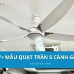 7+ Mẫu quạt trần 5 cánh giá rẻ, thiết kế đẹp đáng mua 2026