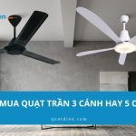 Nên mua quạt trần 3 cánh hay 5 cánh? Chọn nhanh trong 5 giây