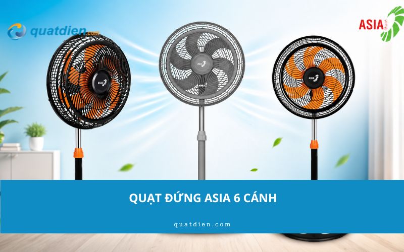 quạt đứng asia 6 cánh
