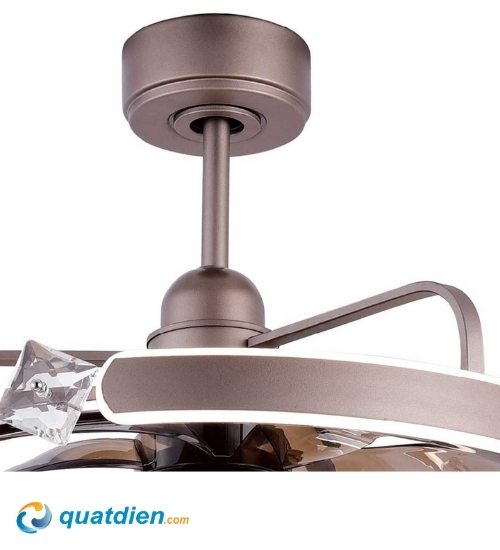 quat-tran-benny-magari-bfc22king-3