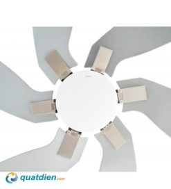 quạt trần Benny Milano BF-C52B6(B) 6 cánh chính hãng