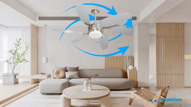 Quạt trần Benny 6 cánh thiết kế 3D tạo gió đều