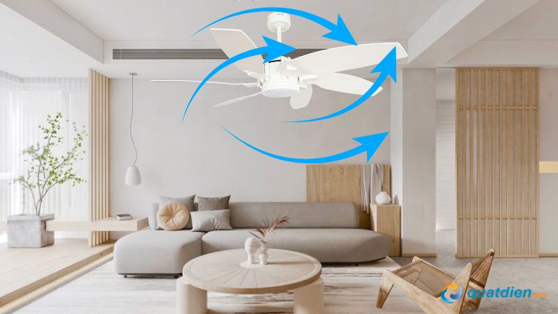 Quạt trần Benny Milano 6 cánh tạo gió mát tự nhiên