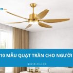 Quạt trần cho người giàu: 8 mẫu đẳng cấp cho biệt thự 2026