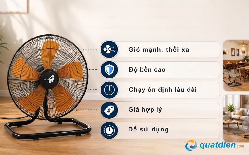 Các đặc điểm nổi bật của quạt chân quỳ Asia