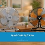 Tổng hợp mẫu quạt chân quỳ Asia giá tốt, chạy êm 2026