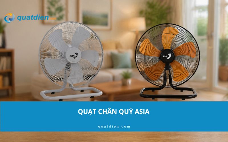 Quạt chân quỳ Asia
