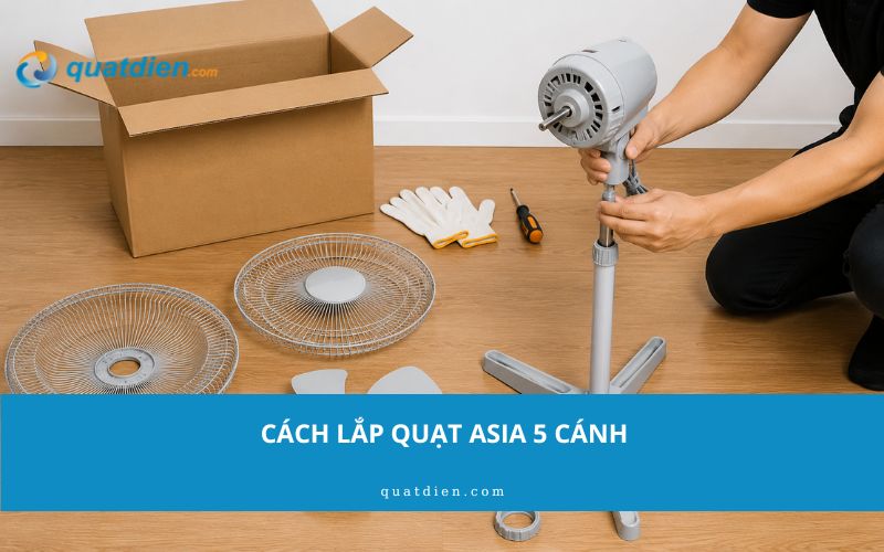 Cách lắp quạt Asia 5 cánh