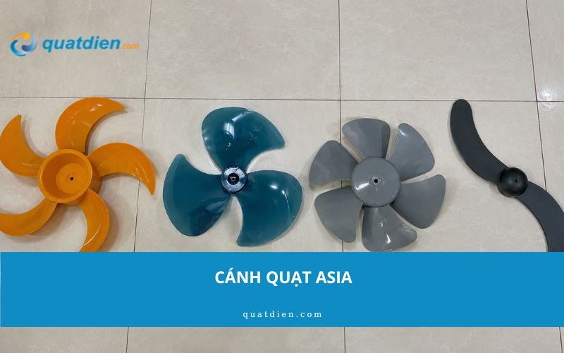 Cách quạt Asia